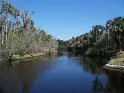 Zolfo Springs on the Peace River