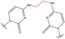 Chemical structure of DNA crosslink induced by a Carmustine.