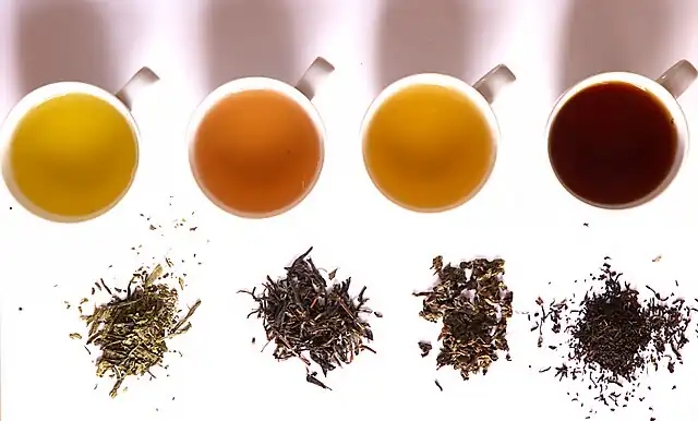 Four cups of tea with different shades of yellow to brown